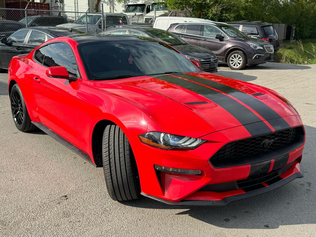 2019 Ford Mustang EcoBoost - Photo #2