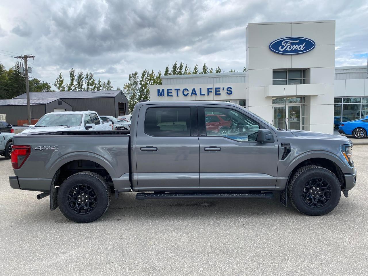 New 2024 Ford F-150 XLT 4WD SUPERCREW 5.5' BOX for sale in Treherne, MB