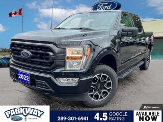 Agate Black Metallic 2022 Ford F-150 XLT 301A 301A 4D SuperCrew 3.5L V6 EcoBoost 10-Speed Automatic 4WD 4WD, 3.31 Axle Ratio, 8 Productivity Screen in Instrument Cluster, 8-Way Power Drivers Seat w/Power Lumbar, ABS brakes, Accent-Colour Step Bars, Air Conditioning, Alloy wheels, Auto High-beam Headlights, Black 2-Bar Style Grille w/Tarnished Black Surround, BLIS w/Trailer Tow Coverage, Body-Colour Door & Tailgate Handles, Body-Colour Front & Rear Bumpers, Box Side Decal, BoxLink Cargo Management System, Chrome Single-Tip Exhaust, Class IV Trailer Hitch Receiver, Compass, Delay-off headlights, Driver door bin, Driver vanity mirror, Dual Zone Electronic Automatic Temperature Control, Electronic Stability Control, Equipment Group 301A Mid, Front fog lights, Fully automatic headlights, Heated door mirrors, Illuminated entry, Leather-Wrapped Steering Wheel, Low tire pressure warning, Navigation system: Connected Navigation, Outside temperature display, Passenger door bin, Passenger vanity mirror, Power steering, Power windows, Rear Under-Seat Storage, Remote keyless entry, SecuriCode Drivers Side Keyless-Entry Keypad, Sport Cloth 40/Console/40 Front-Seats, Steering wheel mounted audio controls, SYNC 4 w/Enhanced Voice Recognition, Tachometer, Traction control, Variably intermittent wipers, Wheels: 18 6-Spoke Machined-Aluminum, XLT Sport Appearance Package.
