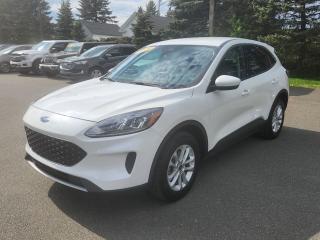 Used 2020 Ford Escape SE for sale in Woodstock, NB