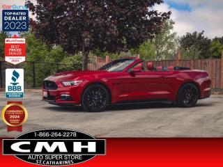 Used 2016 Ford Mustang GT Premium  **CONVERTIBLE - LOW KMS** for sale in St. Catharines, ON