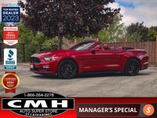 <b>ONLY 62,000 KMS !! CONVERTIBLE !! MANUAL TRANSMISSION, BLACK APPEARANCE PACKAGE, NAVIGATION, REAR CAMERA, BLUETOOTH, LEATHER, POWER SEATS, COOLED + HEATED SEATS, DUAL CLIMATE CONTROL, DUAL EXHAUST, REAR SPOILER, 19-INCH ALLOY WHEELS<br> <br></b><br>  <br>CMH certifies that all vehicles meet DOUBLE the Ministry standards for Brakes and Tires<br><br> <br>    This  2016 Ford Mustang is for sale today. <br> <br>The 2016 Ford Mustang takes styling cues from its heritage while decidedly looking to the future. The result is a perfect blend of retro and modern styling. Take it for a spin and youll see why its the car of choice of so many passionate enthusiasts. A performance car through and through, its still plenty comfortable while retaining responsive driving dynamics. Check out this Mustang and make this pony gallop!This low mileage  convertible has just 61,622 kms. Its  ruby red tinted clearcoat in colour  . It has a 6 speed manual transmission and is powered by a  435HP 5.0L 8 Cylinder Engine. <br> <br> Our Mustangs trim level is GT Premium. The GT Premium trim gives you V8 power with luxury car comfort. On top of the powerful motor, you get heated and cooled leather seats, electronic line-lock, Track Apps which provides performance metrics, dual exhaust, the SYNC 3 infotainment system with Bluetooth and SiriusXM satellite radio, HID headlights with LED signature lighting, push-button start, and more. This vehicle has been upgraded with the following features: Navigation, Back Up Camera, Bluetooth, Leather Seats, Dual Power Seats, Heated Front Seats, Vented/cooled Seats. <br> To view the original window sticker for this vehicle view this <a href=http://www.windowsticker.forddirect.com/windowsticker.pdf?vin=1FATP8FF0G5204030 target=_blank>http://www.windowsticker.forddirect.com/windowsticker.pdf?vin=1FATP8FF0G5204030</a>. <br/><br> <br>To apply right now for financing use this link : <a href=https://www.cmhniagara.com/financing/ target=_blank>https://www.cmhniagara.com/financing/</a><br><br> <br/><br>Trade-ins are welcome! Financing available OAC ! Price INCLUDES a valid safety certificate! Price INCLUDES a 60-day limited warranty on all vehicles except classic or vintage cars. CMH is a Full Disclosure dealer with no hidden fees. We are a family-owned and operated business for over 30 years! o~o