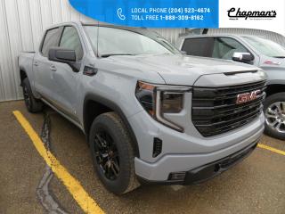 New 2024 GMC Sierra 1500 Elevation Just Arrived! Details Coming Soon for sale in Killarney, MB