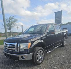 Used 2009 Ford F-150 XLT for sale in Hillsburgh, ON