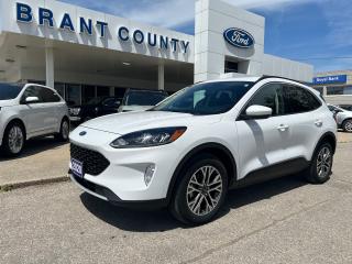Used 2020 Ford Escape SEL AWD for sale in Brantford, ON