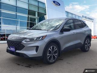 Used 2021 Ford Escape SE Hybrid Accident Free | Appearance Pack | Cold Weather Pack for sale in Winnipeg, MB