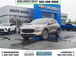 Awards: * JD Power Canada Automotive Performance, Execution and Layout (APEAL) Study Recent Arrival! Gold 2020 Ford Escape Titanium For Sale, Bridgewater AWD 8-Speed Automatic EcoBoost 2.0L I4 GTDi DOHC Turbocharged VCT Clean Car Fax, AWD, 10 Speakers, 110V/150W AC Power Outlet, ABS brakes, Air Conditioning, Alloy wheels, AM/FM radio: SiriusXM, Auto High-beam Headlights, Automatic temperature control, Black Roof-Rack Side Rails, Brake assist, Compass, Delay-off headlights, Driver door bin, Electronic Stability Control, Emergency communication system: SYNC 3 911 Assist, Front dual zone A/C, Front fog lights, Fully automatic headlights, Garage door transmitter, Head-Up Display, Heated door mirrors, Heated front seats, Heated steering wheel, Knee airbag, Navigation System, Occupant sensing airbag, Outside temperature display, Panoramic Vista Roof, Power door mirrors, Power driver seat, Power Liftgate, Power passenger seat, Power steering, Power windows, Radio data system, Rear window defroster, Rear window wiper, Security system, Speed control, Speed-sensing steering, Speed-Sensitive Wipers, Split folding rear seat, Spoiler, Steering wheel mounted audio controls, Tilt steering wheel, Titanium Premium Package 2.0, Traction control, Trip computer, Variably intermittent wipers.