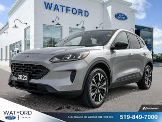 Used 2022 Ford Escape Se Ti for sale in Watford, ON