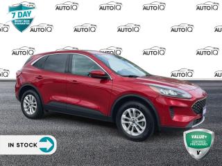 Used 2020 Ford Escape SE for sale in St Catharines, ON