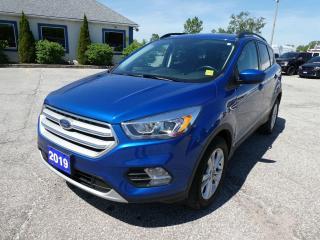 Used 2019 Ford Escape SEL for sale in Essex, ON