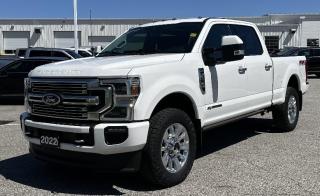 Used 2022 Ford F-250 Super Duty Srw Super Duty for sale in Watford, ON