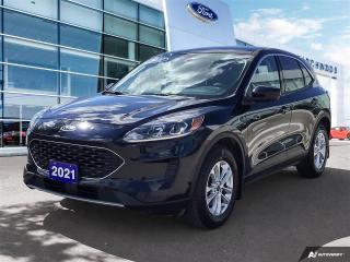 Used 2021 Ford Escape SE Accident Free | Local Vehicle | Cold Weather Pack for sale in Winnipeg, MB