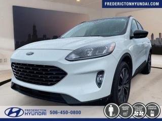 Used 2021 Ford Escape SEL for sale in Fredericton, NB