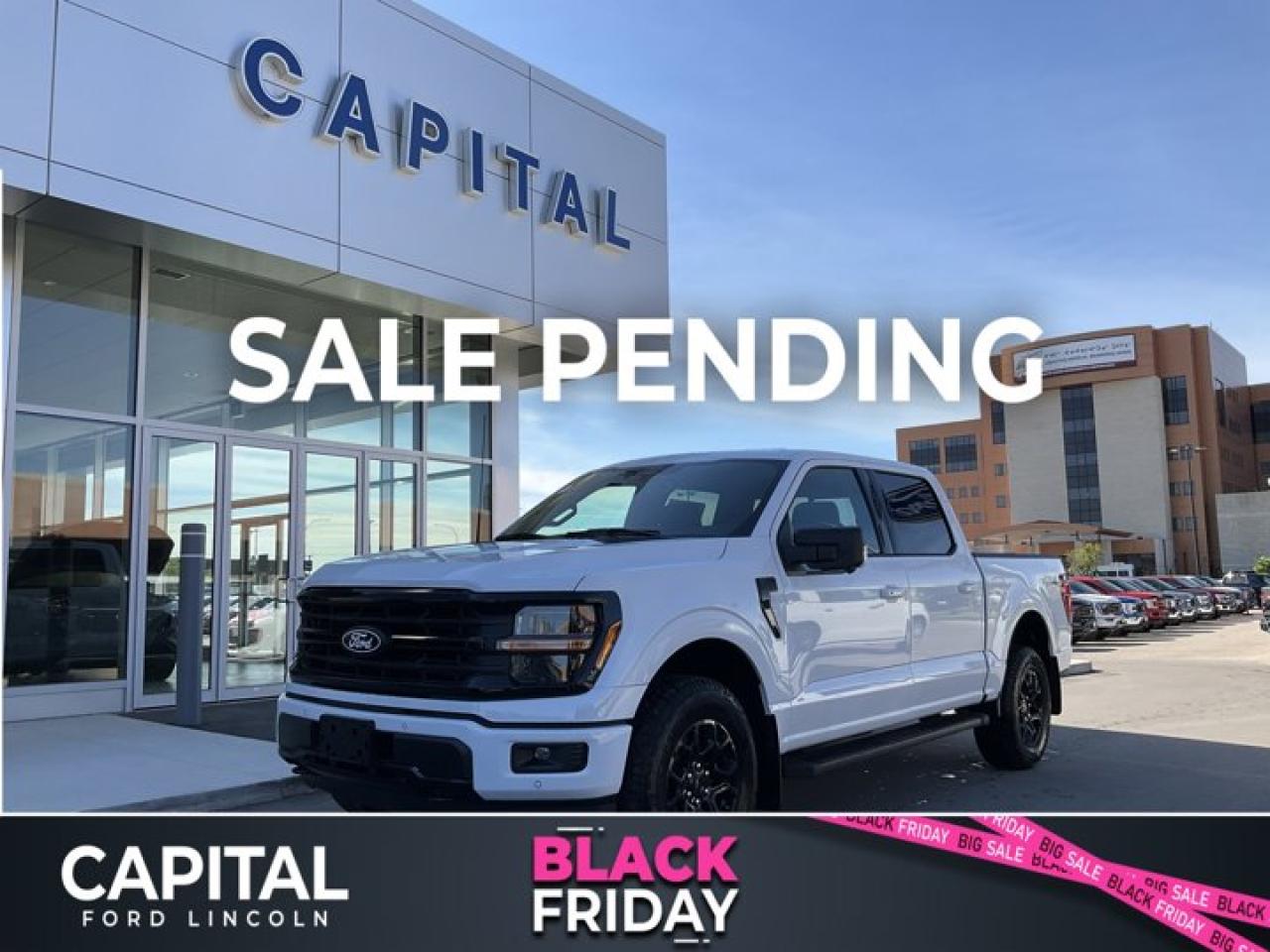 New 2024 Ford F-150 XLT for sale in Winnipeg, MB