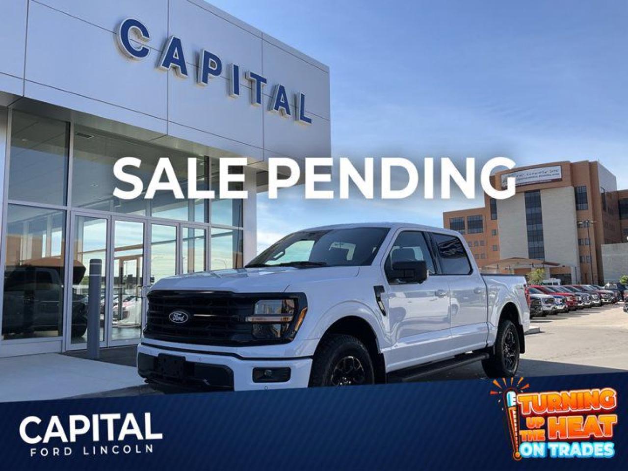 New 2024 Ford F-150 XLT for sale in Winnipeg, MB