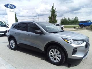 New 2024 Ford Escape Active for sale in Lacombe, AB