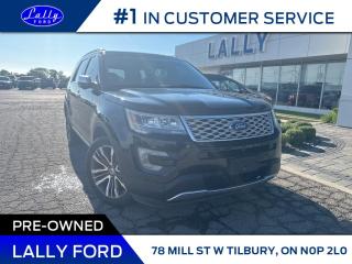 Used 2016 Ford Explorer Platinum, One Owner, Loaded, Mint! for sale in Tilbury, ON