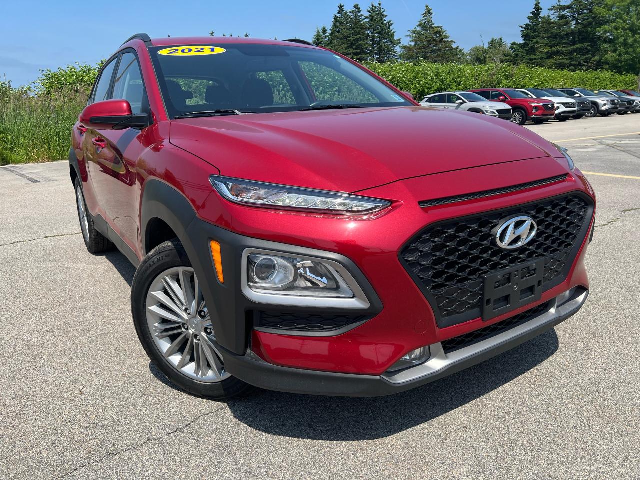 Used Vehicles for Sale in Dayton, NS | Thistle Hyundai