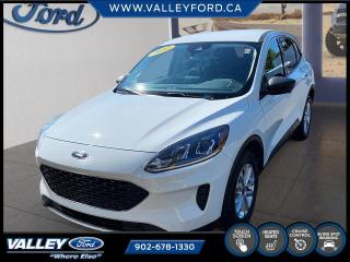 Used 2022 Ford Escape SE for sale in Kentville, NS