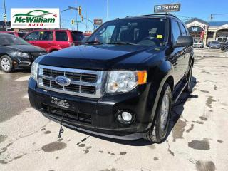 Used 2010 Ford Escape XLT 4dr 4x4 Automatic for sale in Winnipeg, MB