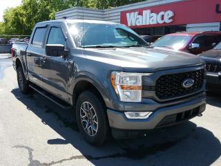 Used 2021 Ford F-150 SXT Sport Pkg | Clean Carfax | 4X4 for sale in Ottawa, ON