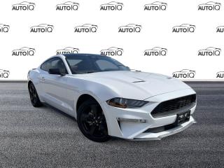 Used 2021 Ford Mustang EcoBoost Premium HEATED & COOLED SEATS | SYNC3 for sale in Oakville, ON