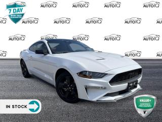 Used 2021 Ford Mustang EcoBoost Premium HEATED & COOLED SEATS | SYNC3 for sale in Oakville, ON