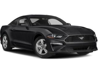 Used 2018 Ford Mustang GT Premium | 6-Spd | 460hp | Leather | Cam | USB for sale in Halifax, NS