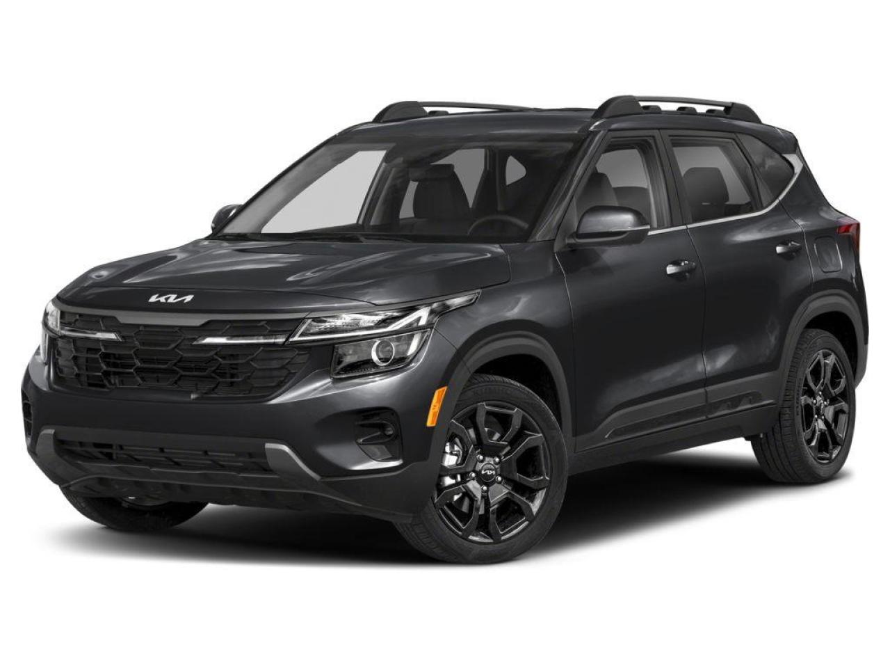 2024 Kia Seltos X-LINE Photo0