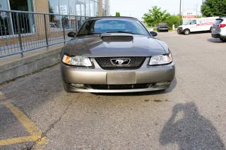 Used 2002 Ford Mustang 2dr Convertible GT for sale in Markham, ON