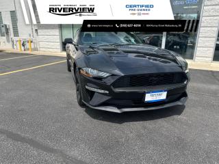 Used 2021 Ford Mustang EcoBoost ONE OWNER | SPORTY COUPE | REAR VIEW CAMERA | TOUCHSCREEN DISPLAY for sale in Wallaceburg, ON
