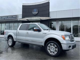 Used 2009 Ford F-150 Platinum 4WD NAVI SUNROOF CAMERA TONNO BEDSLIDE for sale in Langley, BC