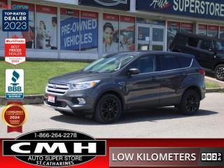 Used 2019 Ford Escape SE  **LOW MILEAGE** for sale in St. Catharines, ON
