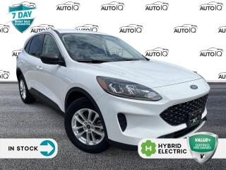 Used 2022 Ford Escape SE Hybrid SYNC3 | A/C | HEATED SEATS for sale in Oakville, ON