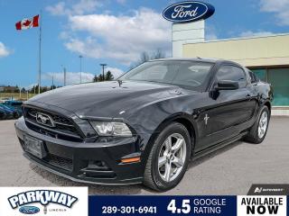 Used 2014 Ford Mustang V6 Premium LEATHER | MANUAL | POWER SEATS for sale in Waterloo, ON