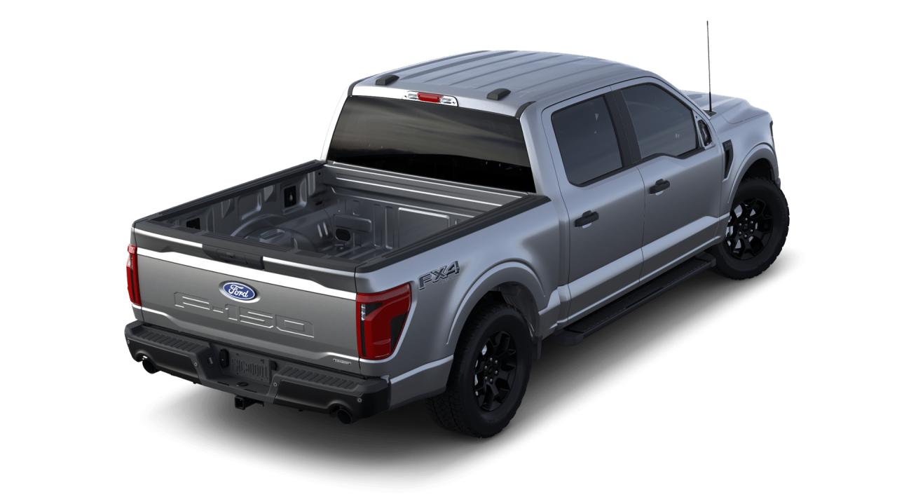 2024 Ford F-150 STX Photo