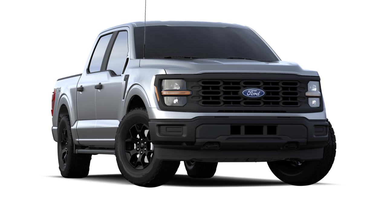 2024 Ford F-150 STX Photo