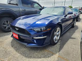 Used 2019 Ford Mustang EcoBoost 101A | ACTIVE VALVE EXHAUST | AUTO for sale in Kitchener, ON