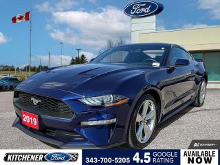 Used 2019 Ford Mustang EcoBoost 101A | ACTIVE VALVE EXHAUST | AUTO for sale in Kitchener, ON