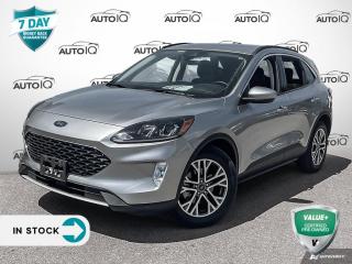 Used 2022 Ford Escape SEL for sale in Hamilton, ON