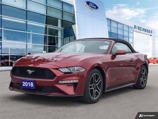 Used 2018 Ford Mustang EcoBoost Convertible | Accident Free | Low Kilometers for sale in Winnipeg, MB