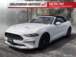 Used 2019 Ford Mustang EcoBoost Premium for sale in Cayuga, ON