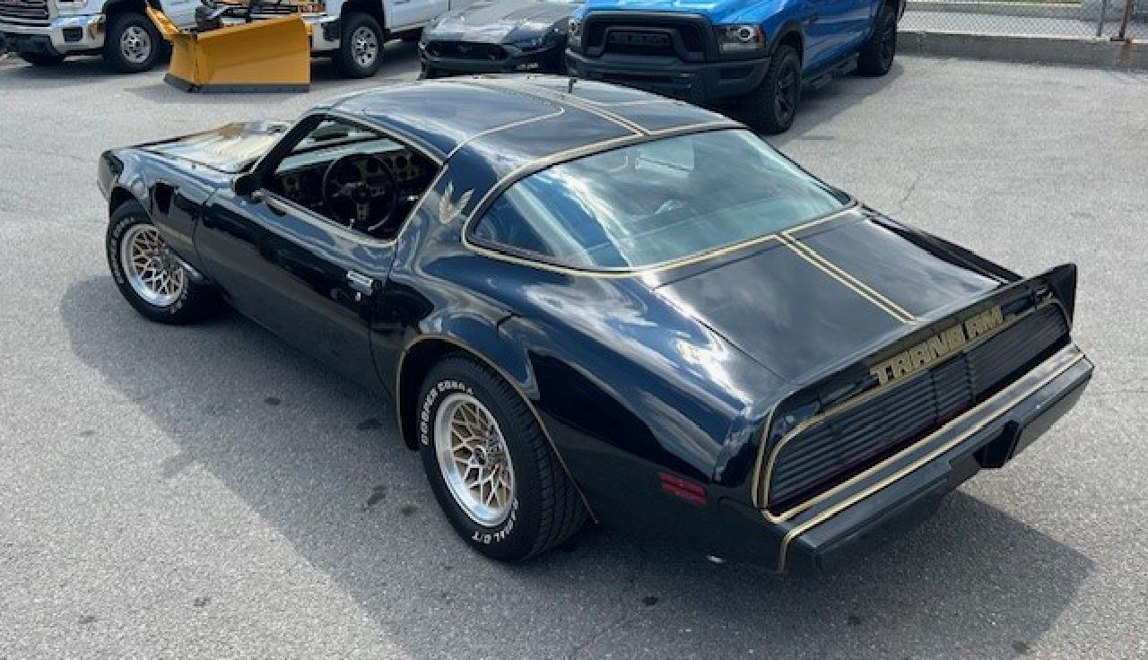 1979 Pontiac Trans Am Special Edition - Photo #11