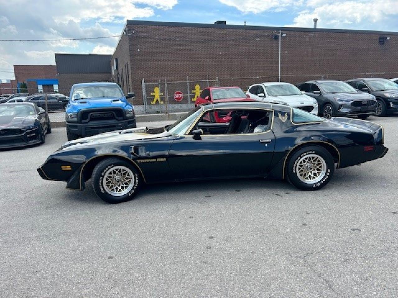 1979 Pontiac Trans Am Special Edition - Photo #8