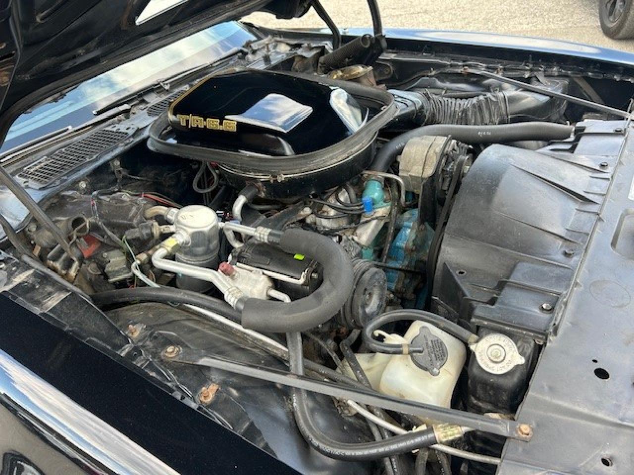 1979 Pontiac Trans Am Special Edition - Photo #5