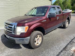 Used 2009 Ford F-150 XLT for sale in Hilden, NS