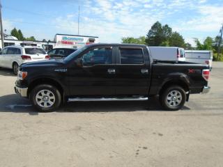Used 2013 Ford F-150 4WD SuperCrew 145  XLT for sale in Fenwick, ON