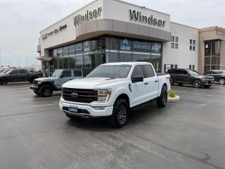 Used 2022 Ford F-150 145 WB for sale in Windsor, ON