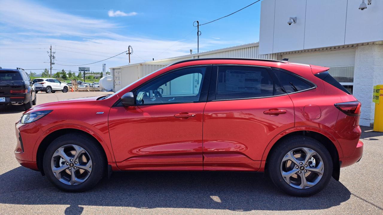 2024 Ford Escape ST-Line AWD Photo