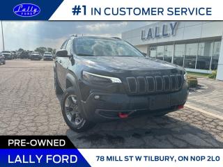 The 2019 Jeep Cherokee Trailhawk Elite is a mid-size SUV powered by a 2.0L turbocharged engine with 4x4 capability. Its designed for off-road performance and comes well-equipped with features such as a panoramic roof, navigation system, and leather seats. The Trailhawk Elite trim offers a premium, rugged driving experience.